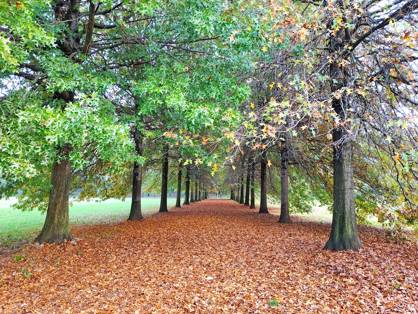 Monte Stella, Milano