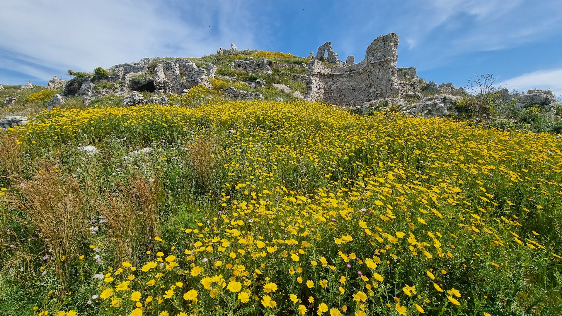 MONTE SUSO