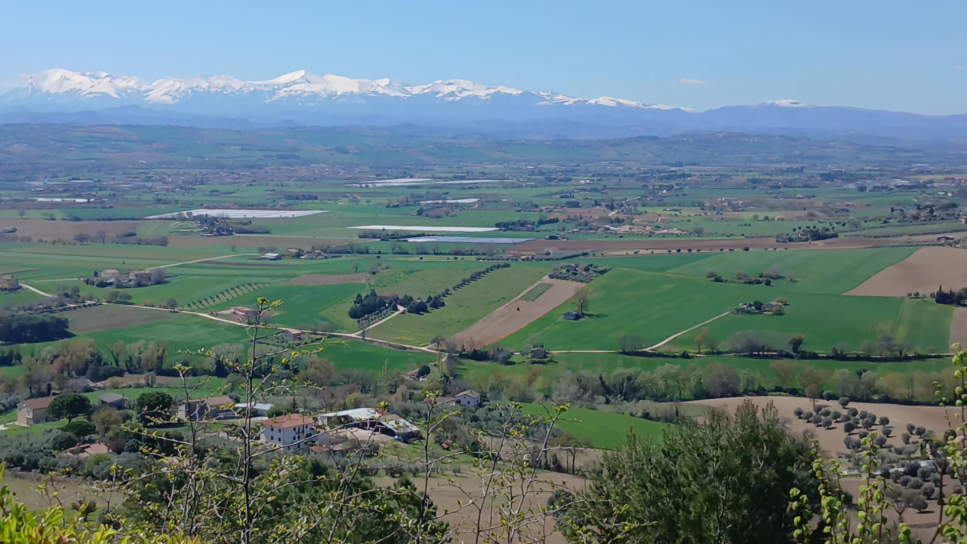 Montecosaro