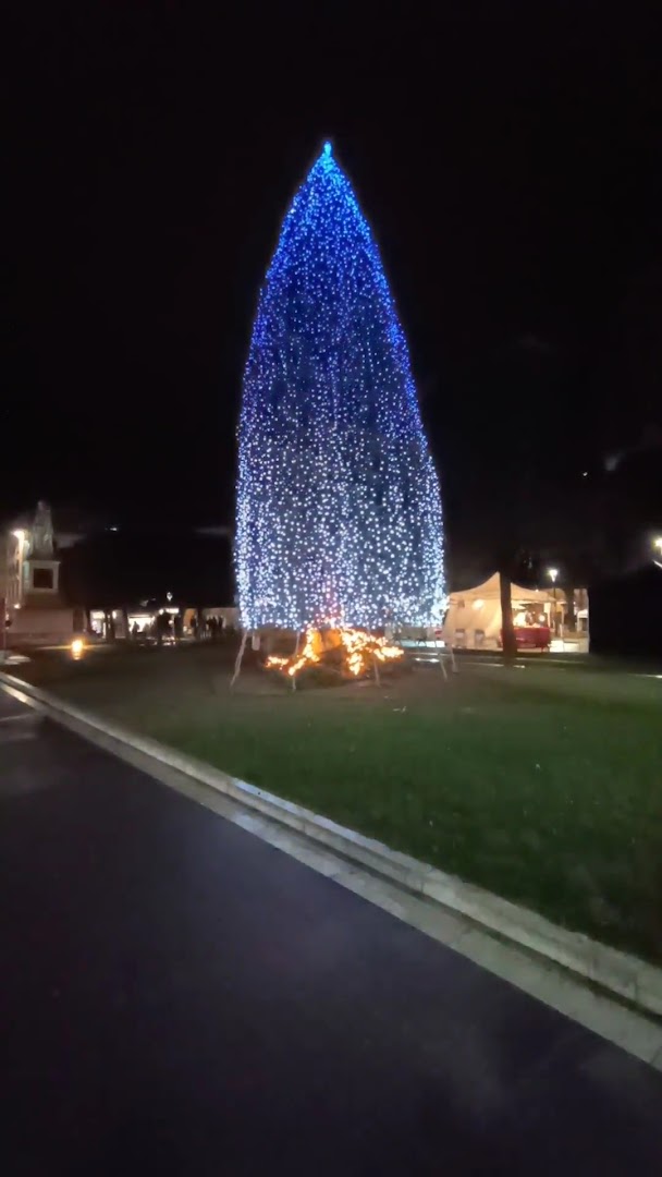 Monumento a Guido Monaco