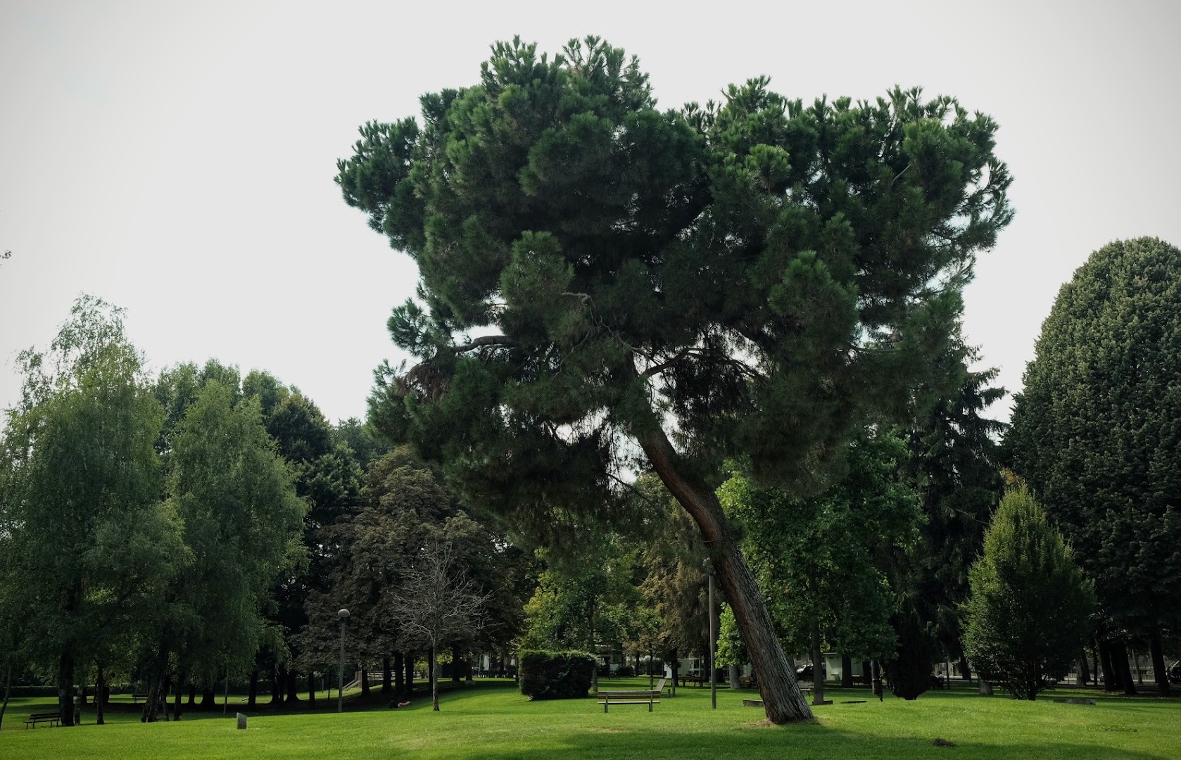 Monumento alla Resistenza