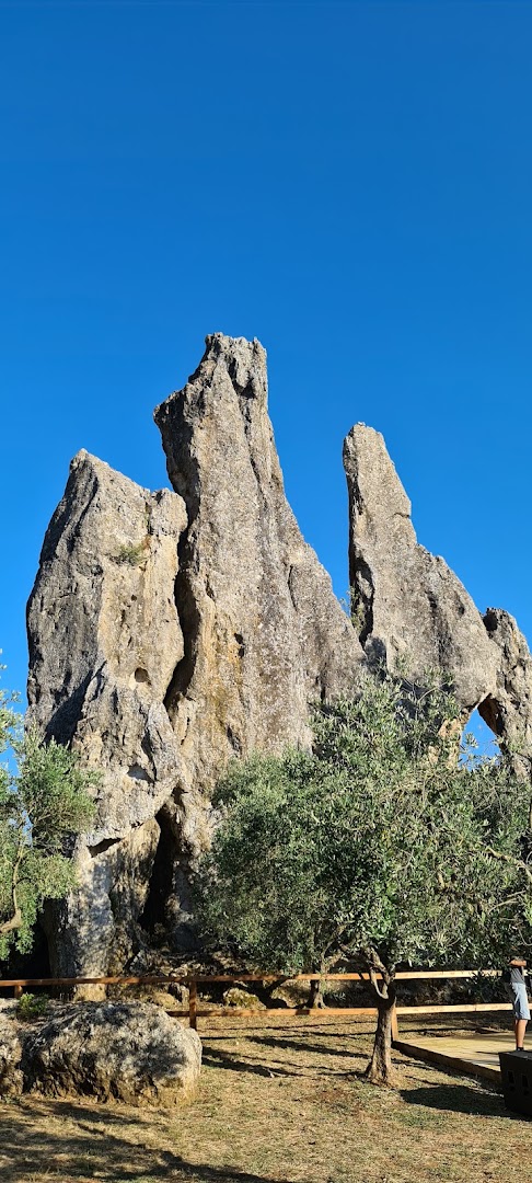 Monumento Naturale di Campo Soriano, Terracina