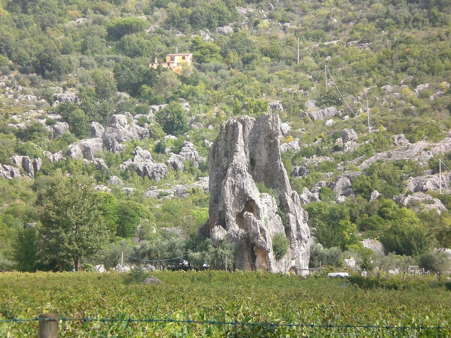 Monumento Naturale di Campo Soriano