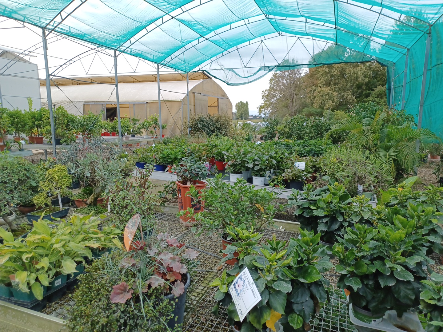 Monverde Garden Della Cappelletta