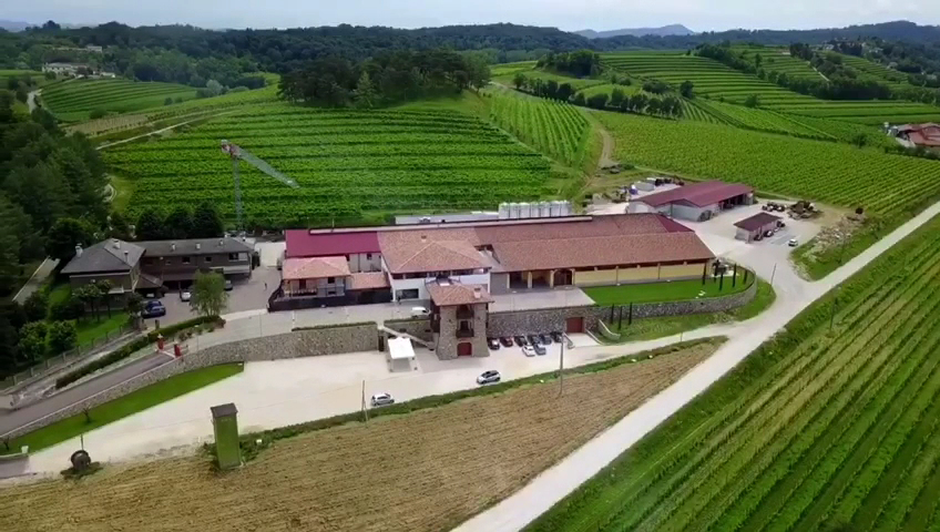 Monviert società semplice agricola