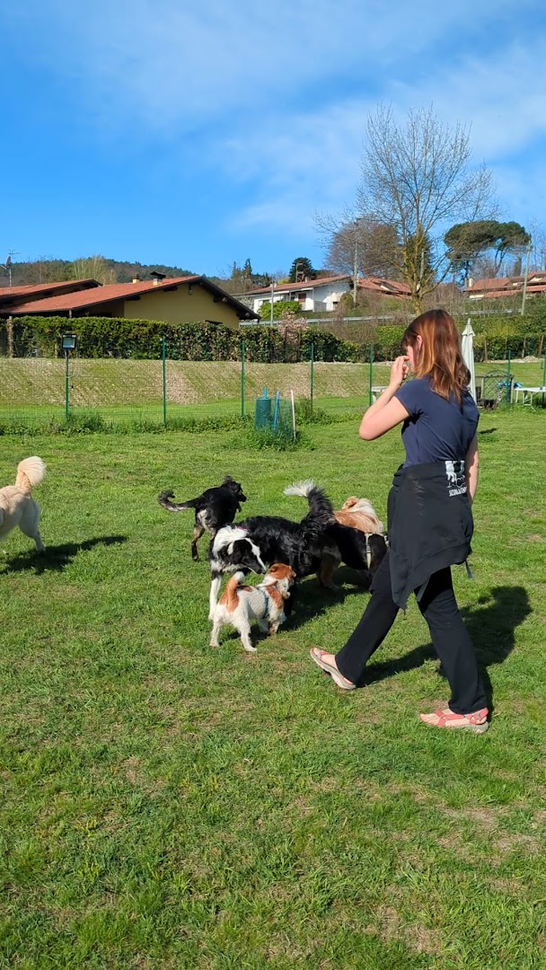 Muovi il codino - addestramento cani varese