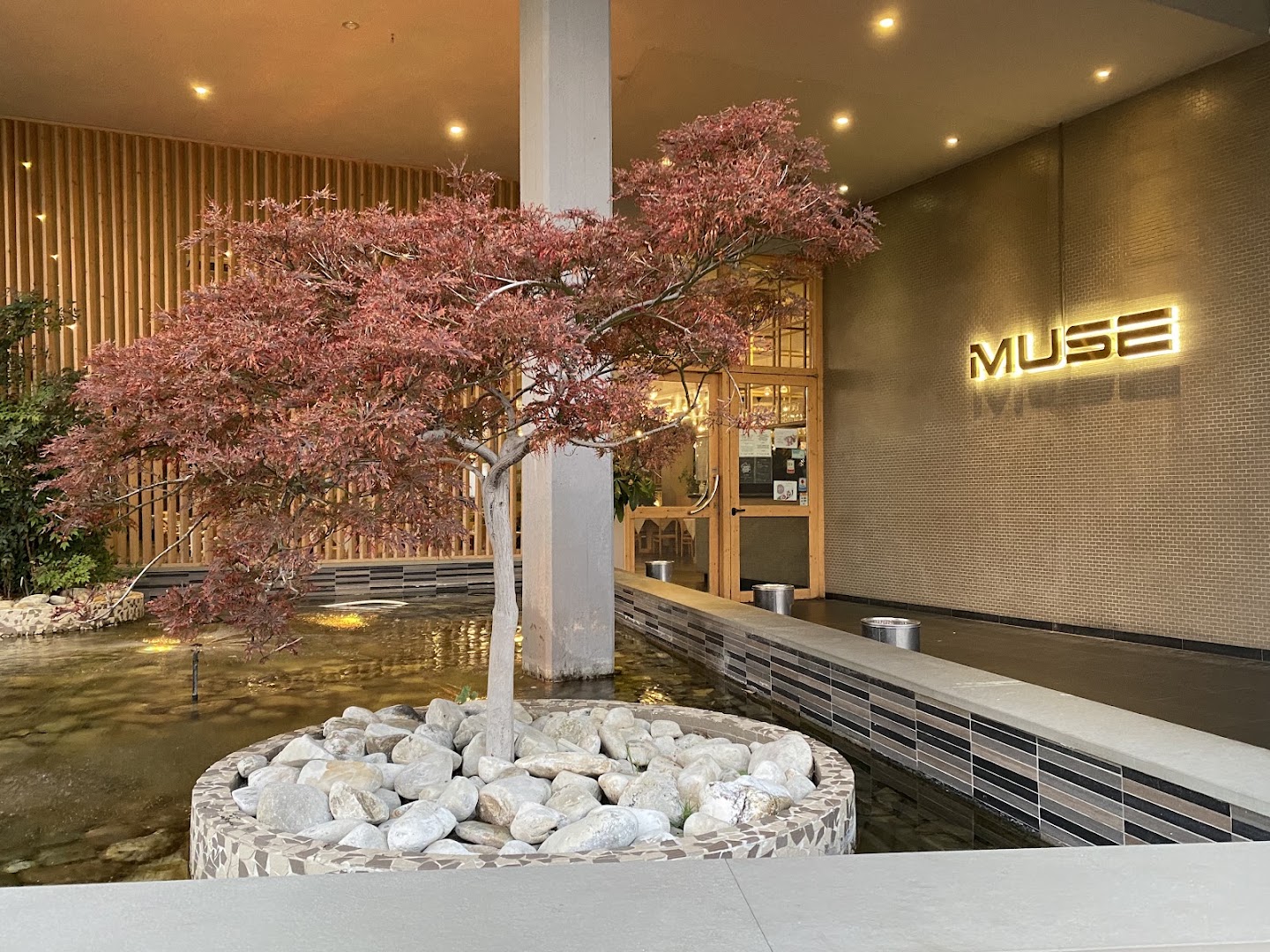 Muse Wok Sushi