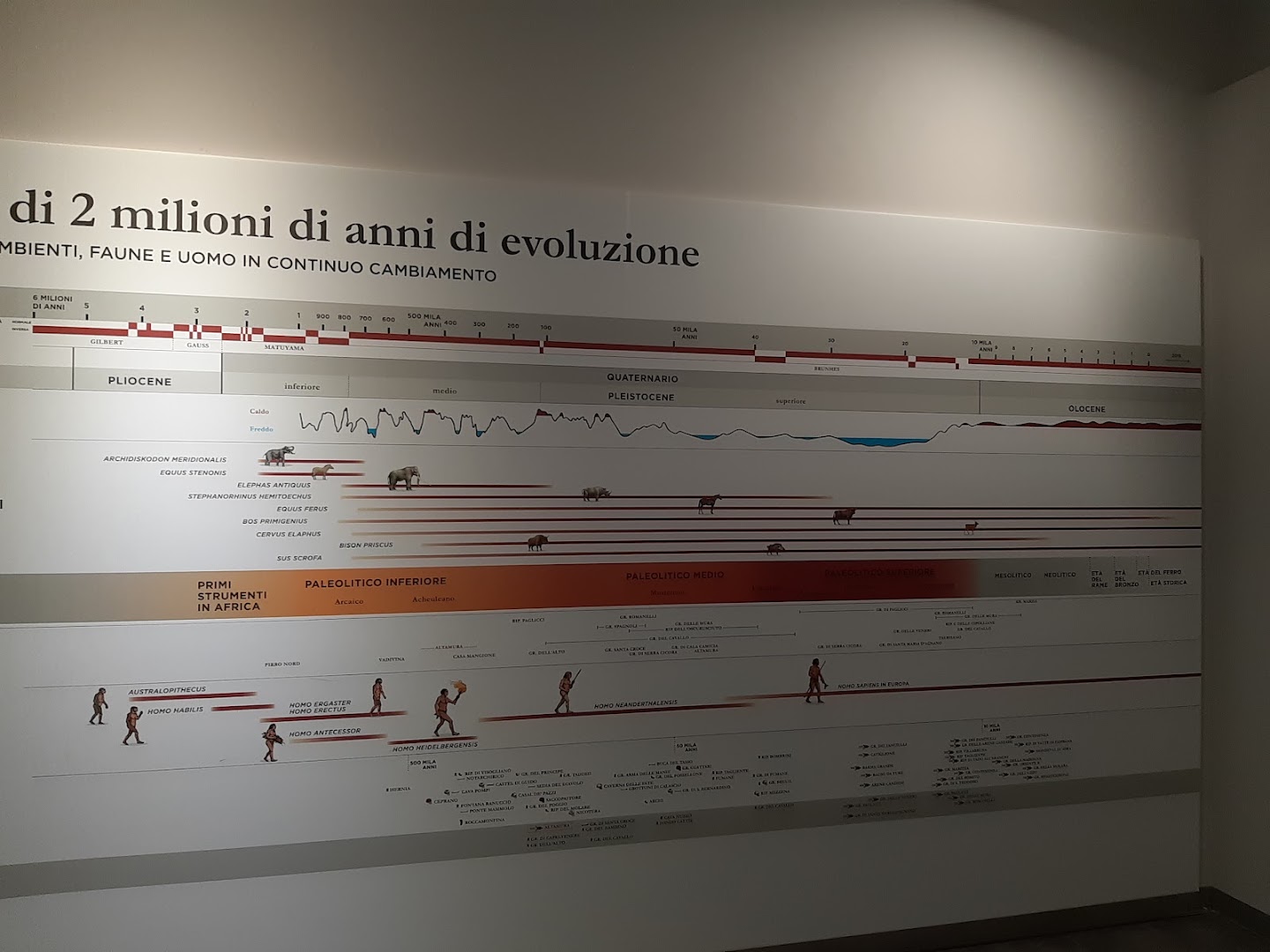 Museo Archeologico Nazionale di Altamura