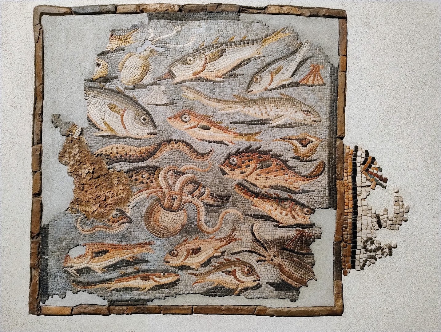 Museo Archeologico Nazionale di Aquileia, Aquileia
