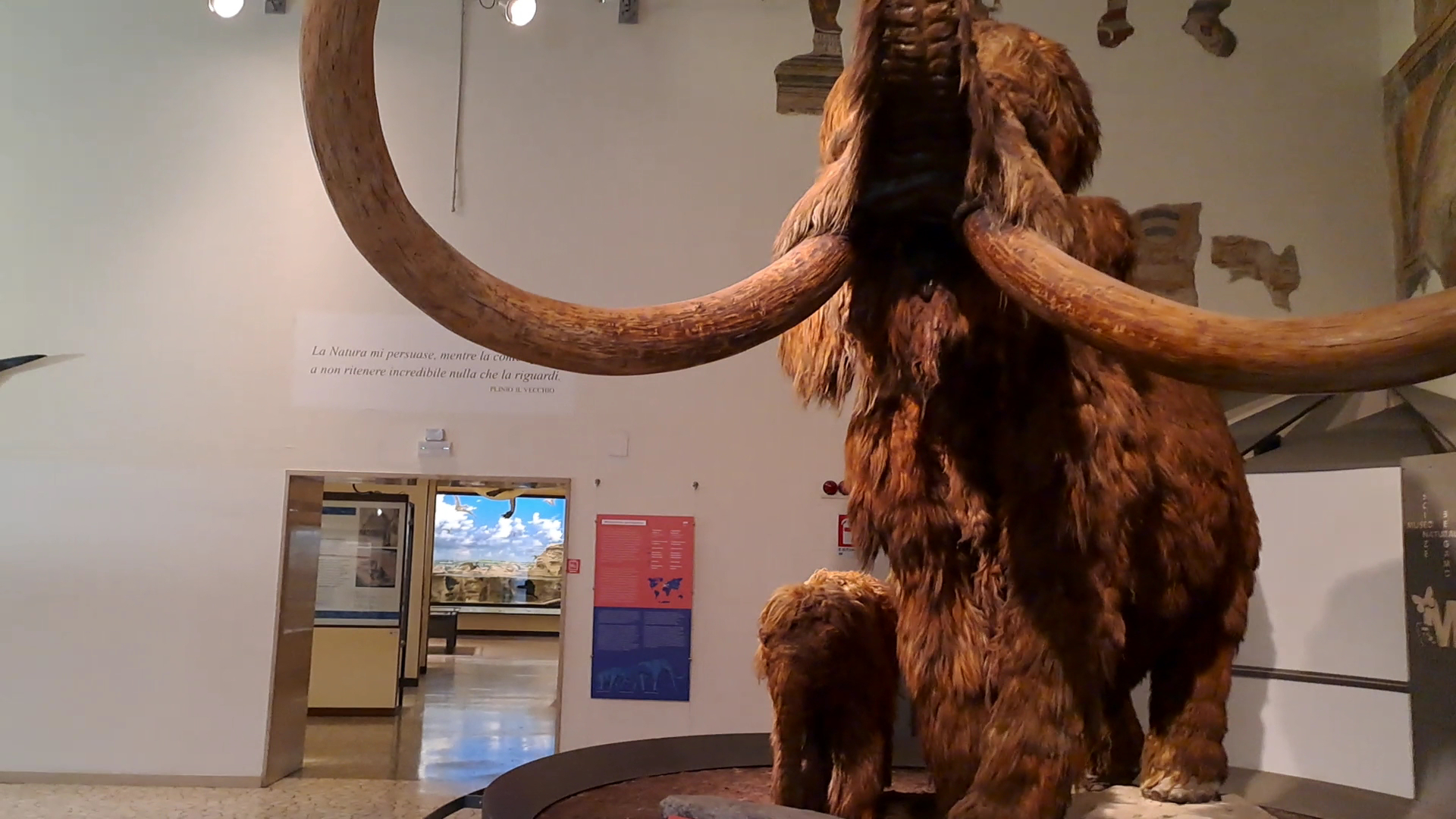 Museo Civico di Scienze Naturali Enrico Caffi di Bergamo