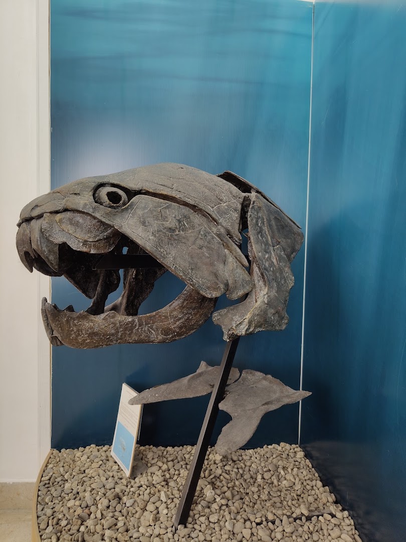 Museo Civico di Storia Naturale - Comiso
