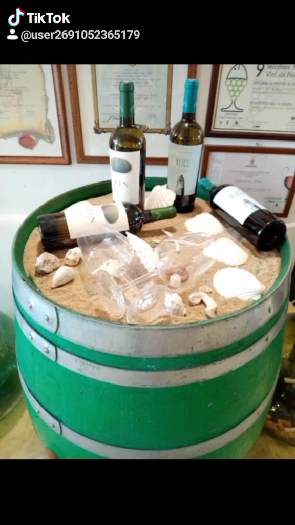 Museo della Civiltà del Vino Primitivo