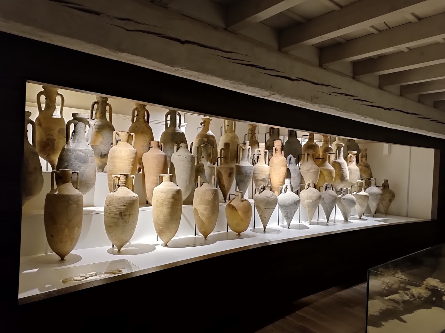Museo Delta Antico