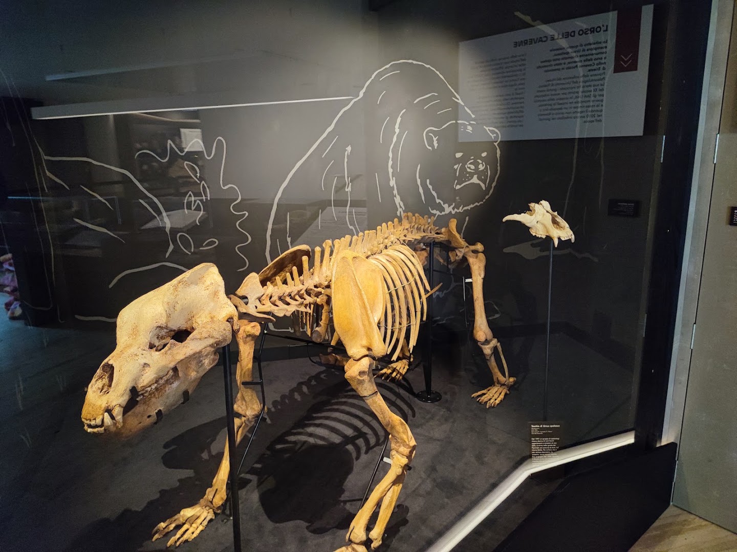 Museo di Scienze e Archeologia - Fondazione Museo Civico di Rovereto, Rovereto