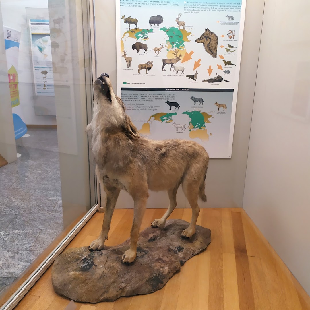 Museo di Storia Naturale Faraggiana Ferrandi