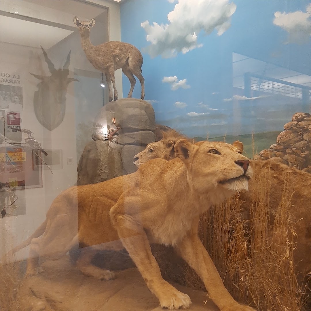 Museo di Storia Naturale Faraggiana Ferrandi