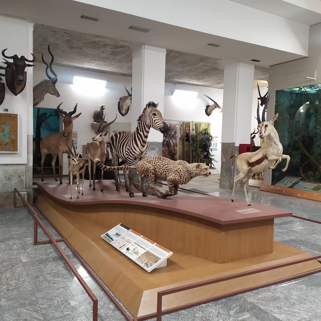 Museo di Storia Naturale Faraggiana Ferrandi