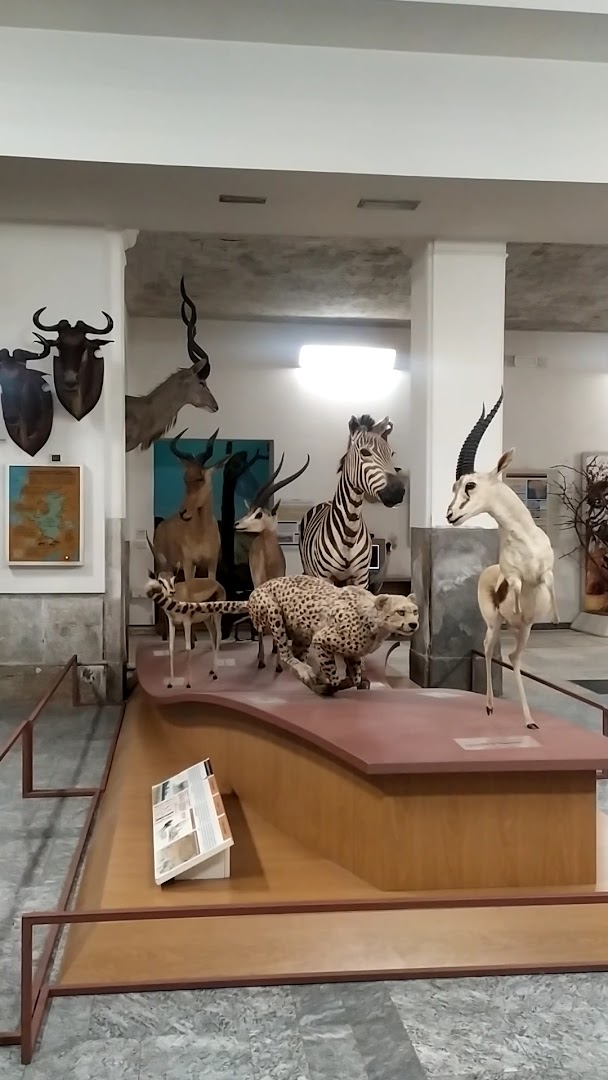 Museo di Storia Naturale Faraggiana Ferrandi