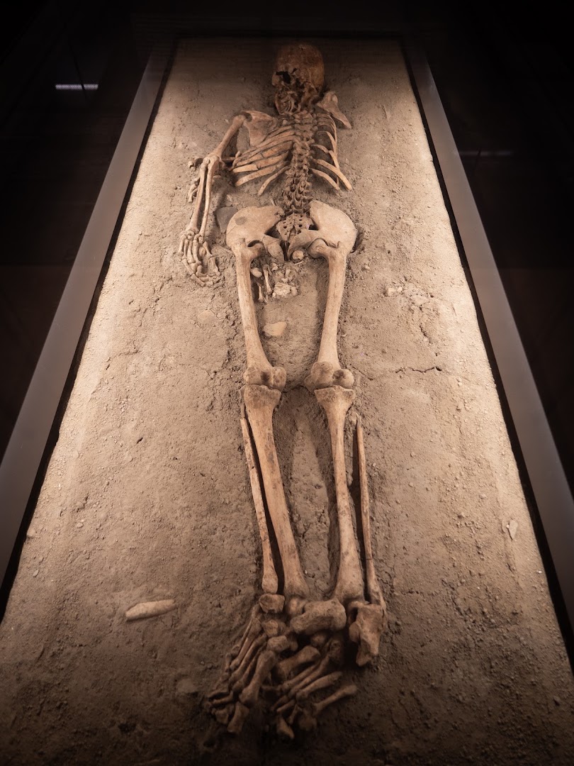 Museo Nazionale Atestino