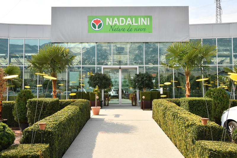 Nadalini Floricoltura
