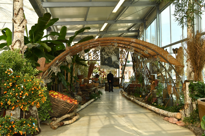 Nadalini Floricoltura