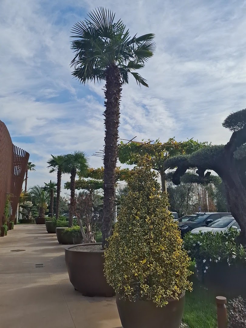 NaturArt Village Pistoia
