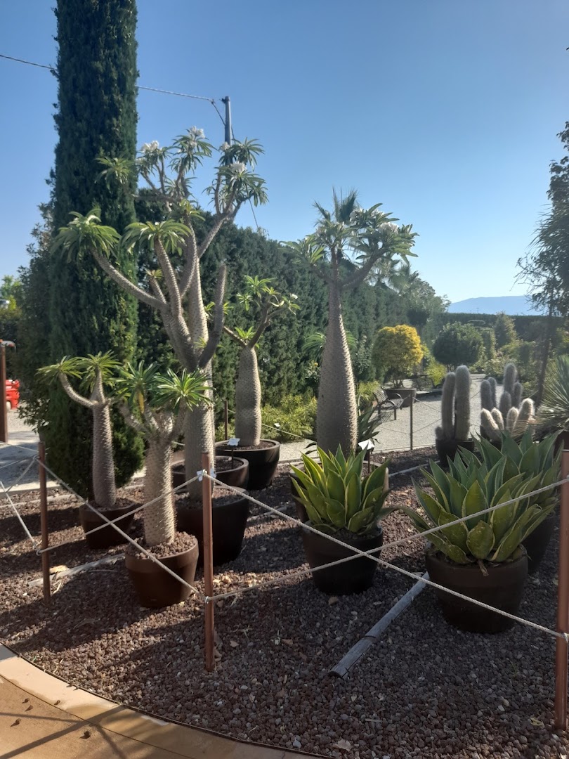 NaturArt Village Pistoia