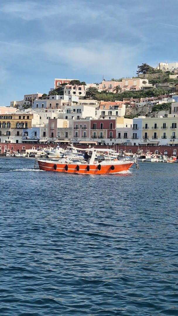 Nautica Ciccio Nero