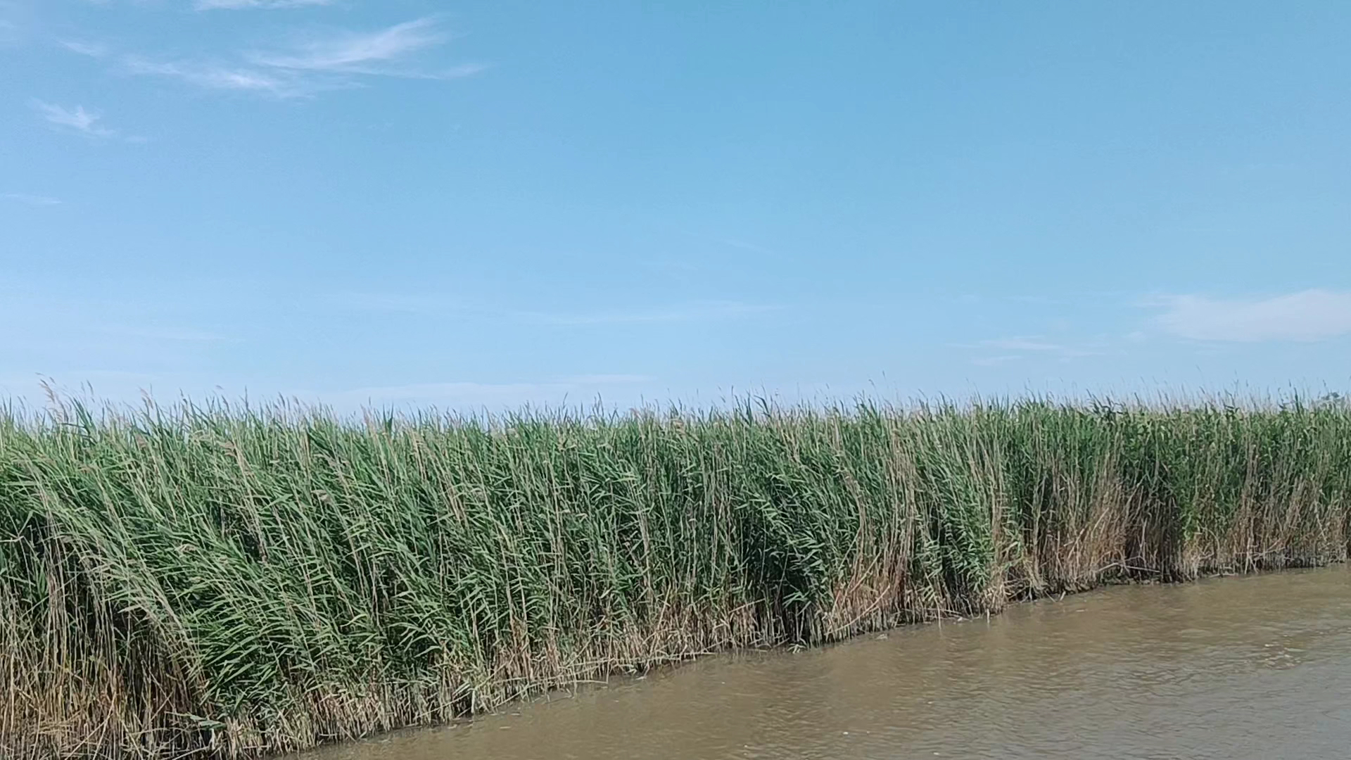 Navigazione Marino Cacciatori