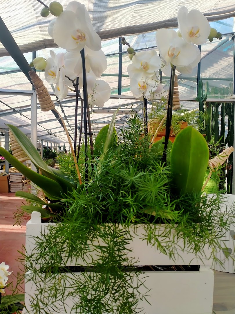New Botanic Garden