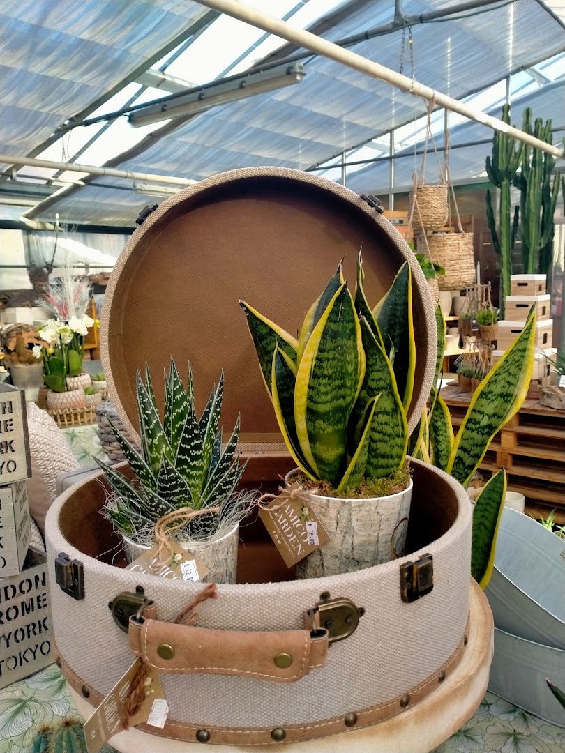 New Botanic Garden