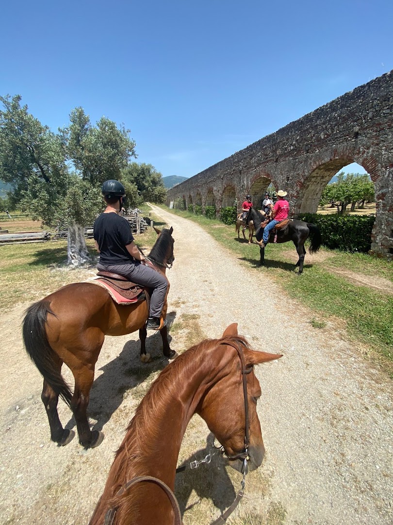 New Cutura Ranch