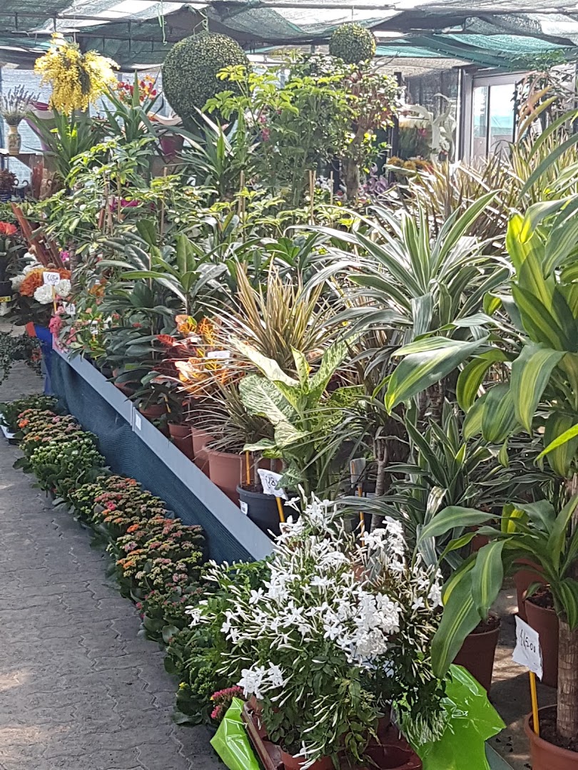 New Garden Fiori Azienda Agricola
