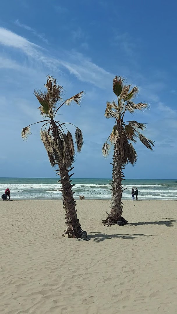 Noah Mediterranean Beach