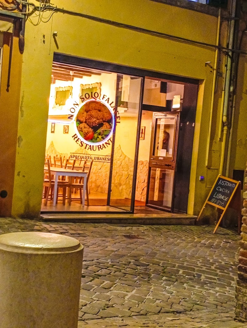 NON SOLO FALAFEL, Jesi