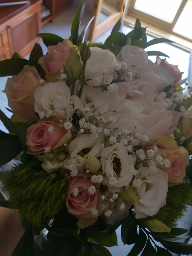 Non solo Fiori