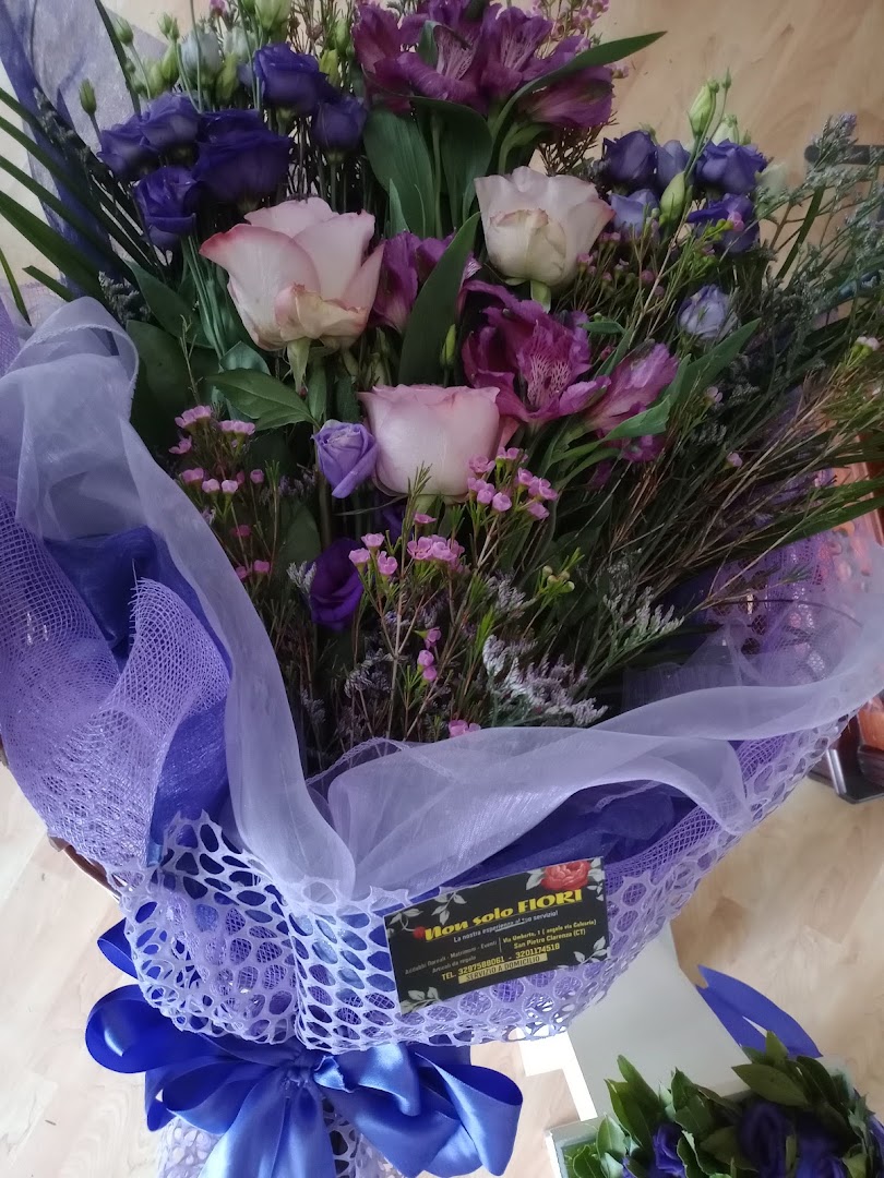 Non solo Fiori