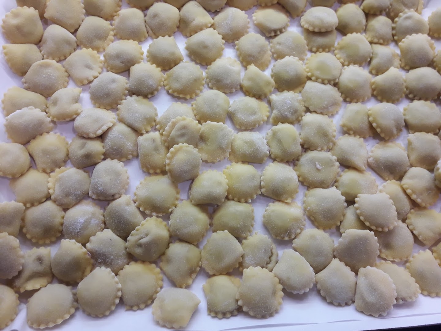 Non Solo Pizza Piacenza