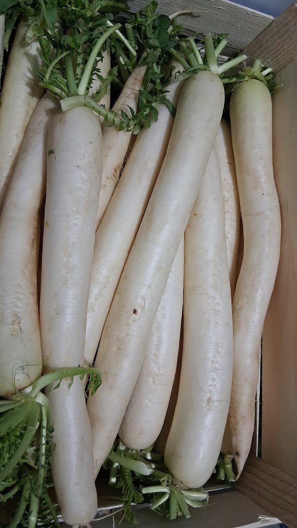 Noor Alimentari halal Macelleria