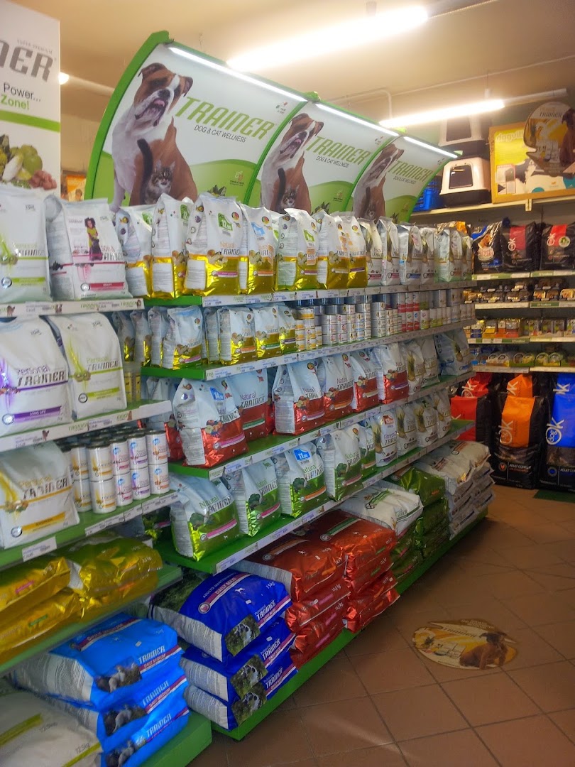 Novazzi Srl