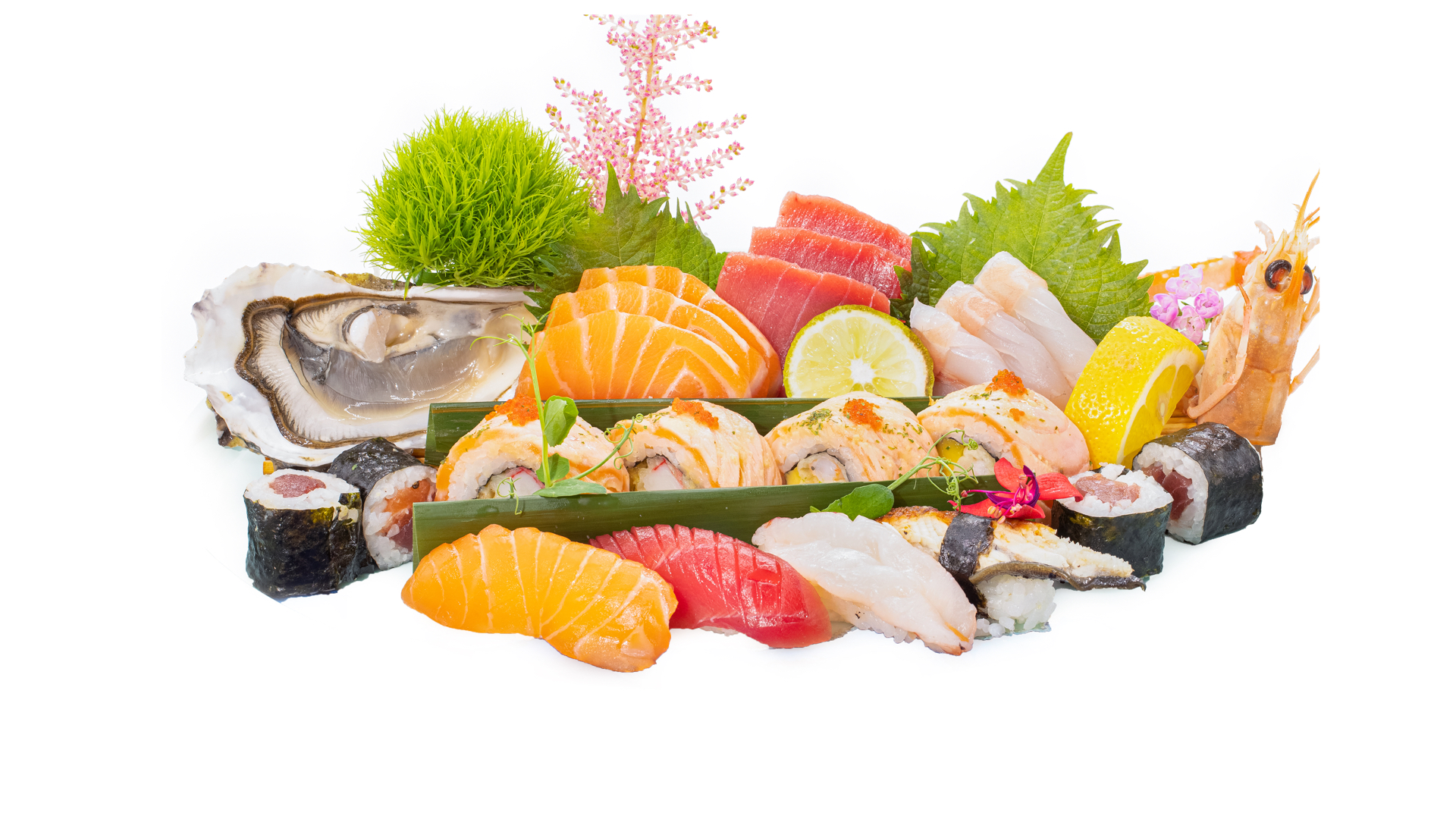 Noyichef Sushi