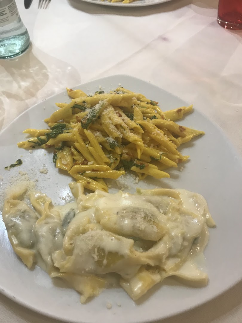 Nuova Orchidea