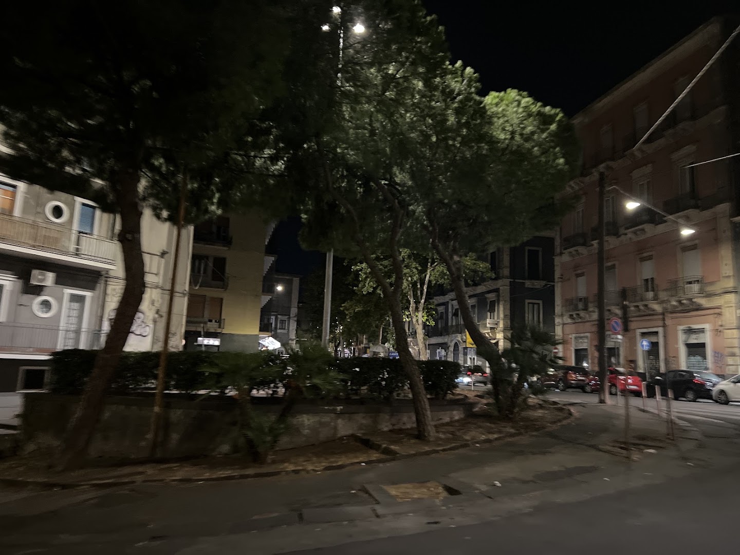 nuova trattoria s.domenico