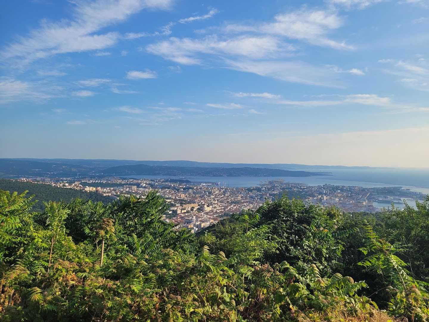 Ošterija Ferluga, Trieste