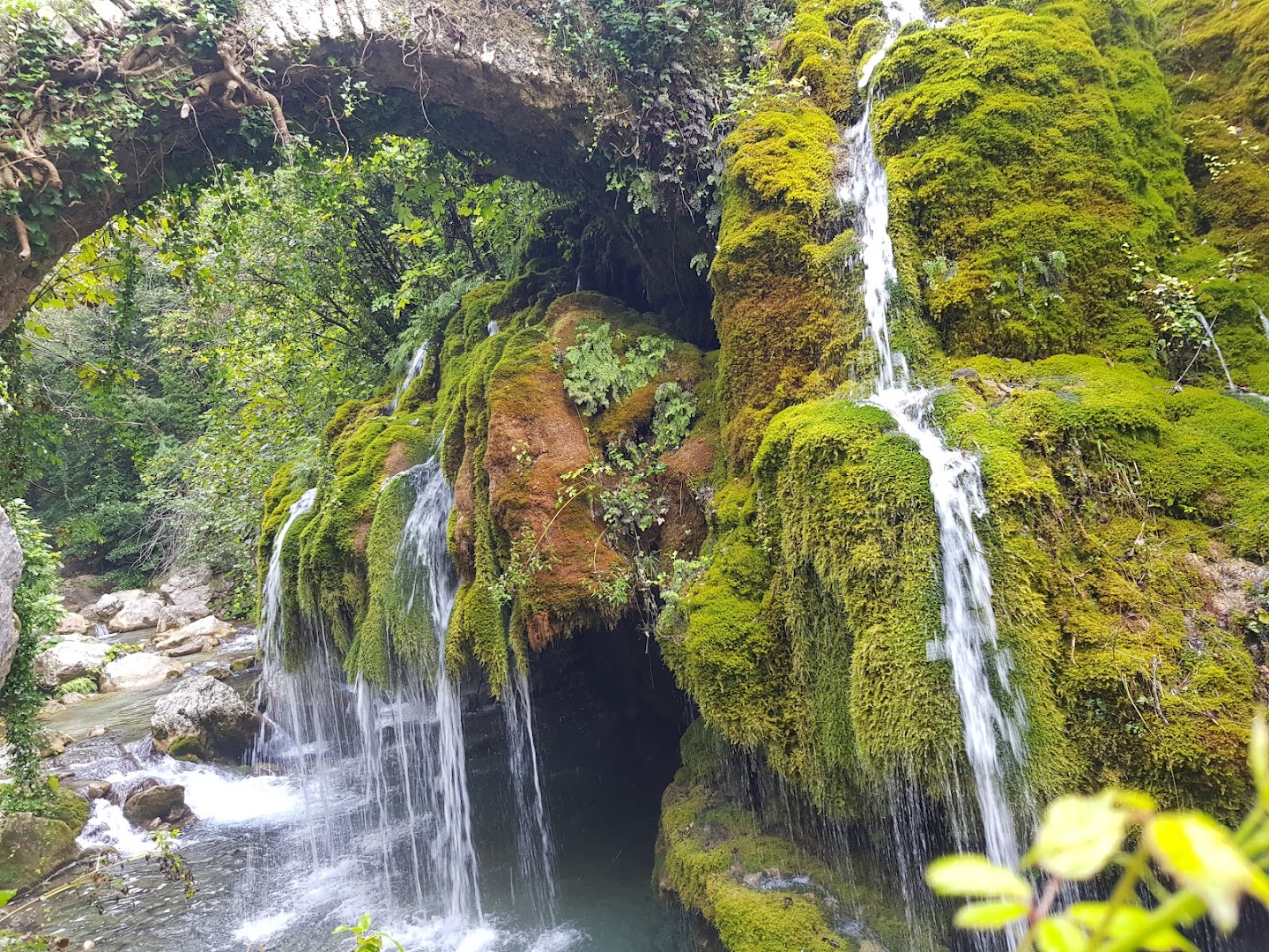 Oasi Cascate Capelli Di Venere, Casaletto Spartano