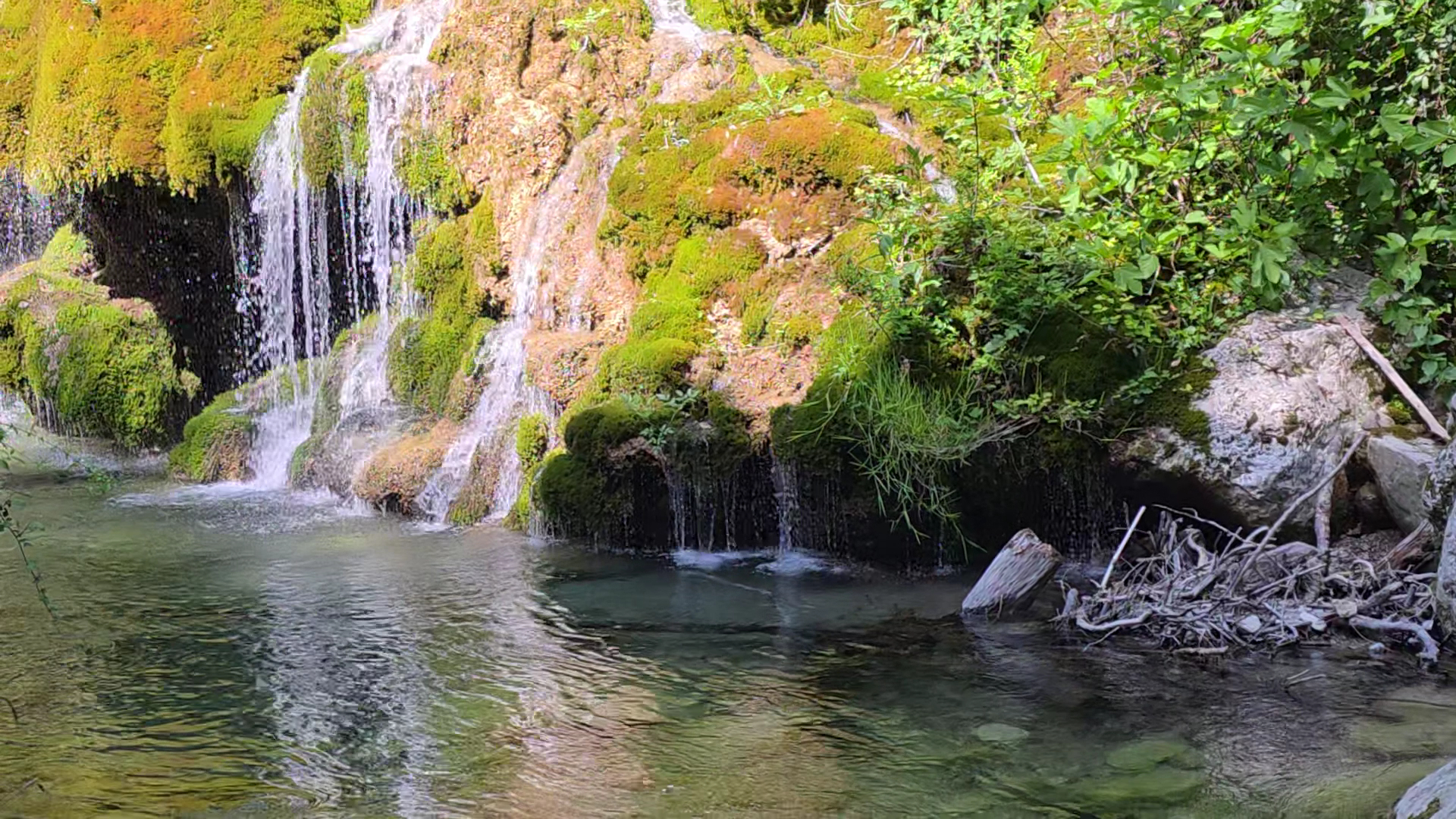 Oasi Cascate Capelli Di Venere