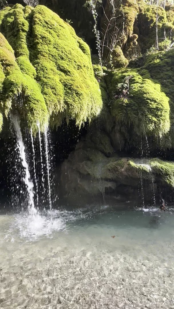 Oasi Cascate Capelli Di Venere