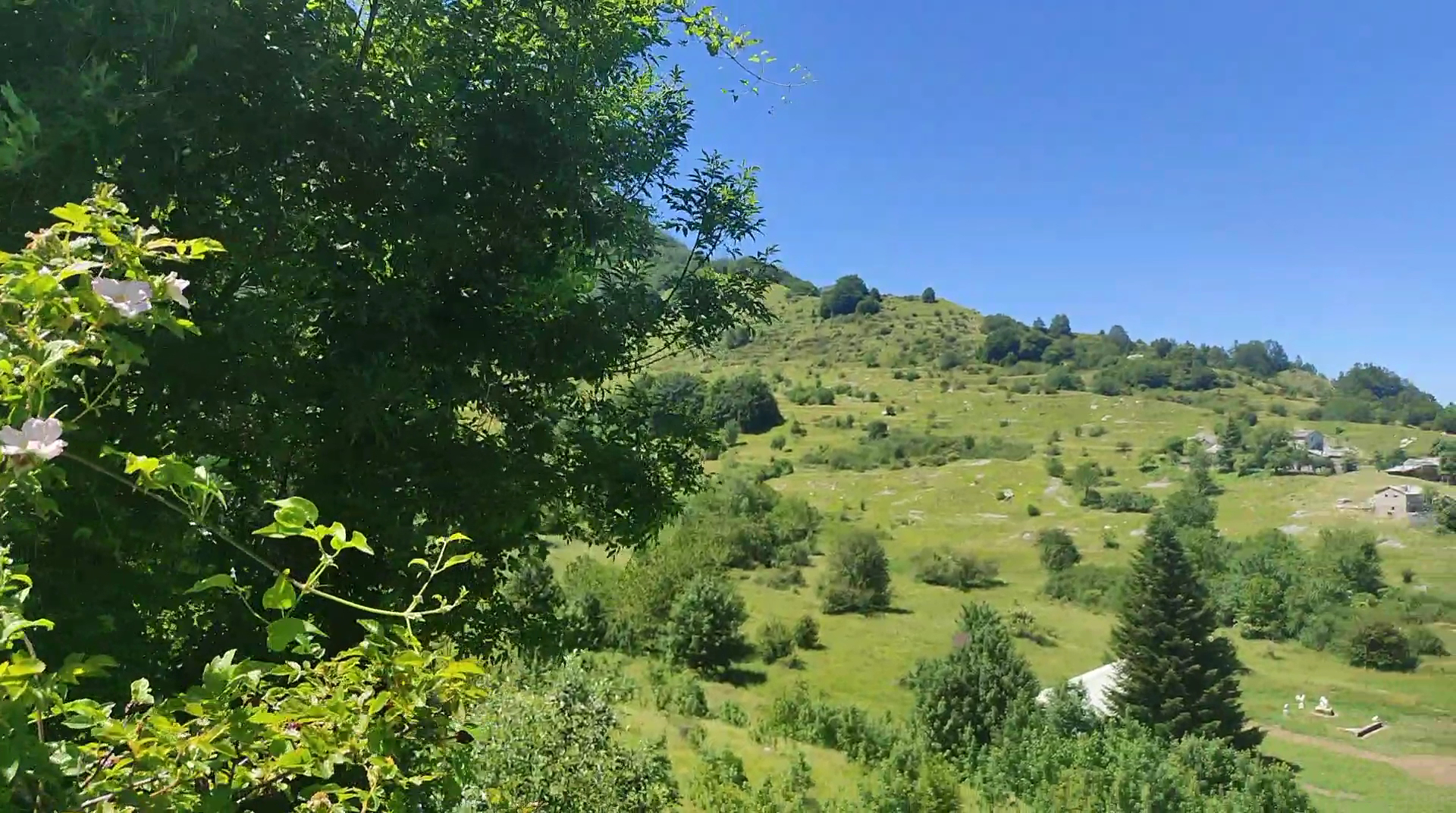 Oasi di Campocatino