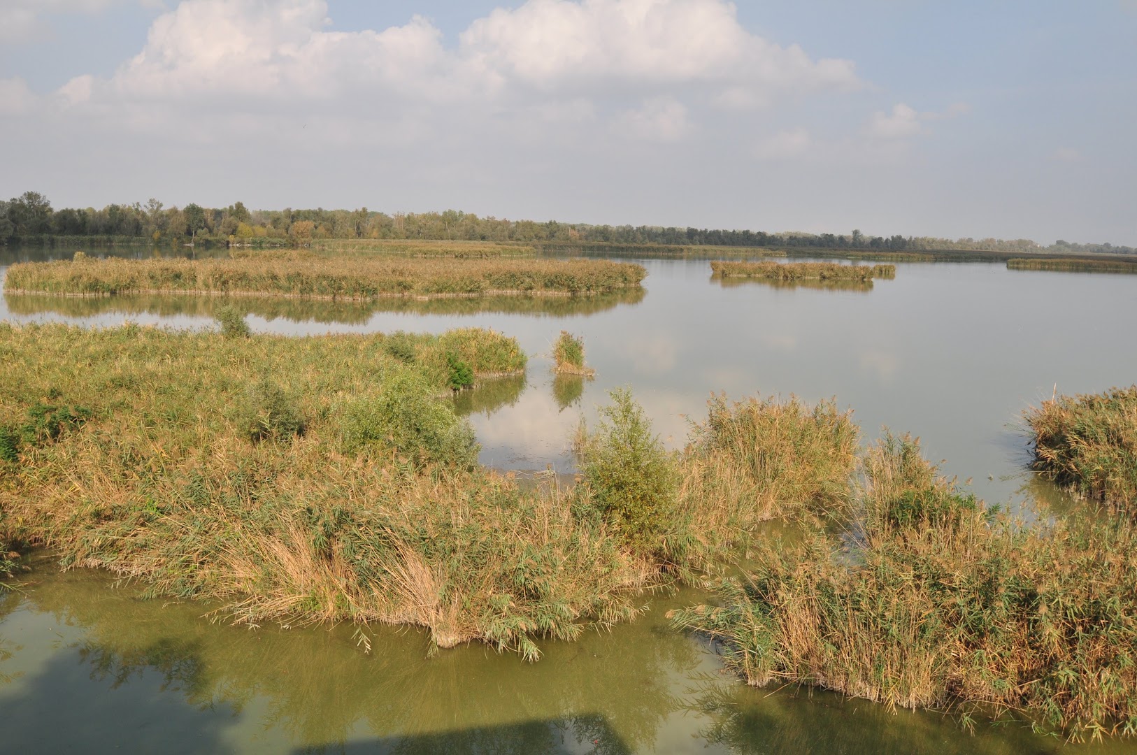 Oasi di Marmorta
