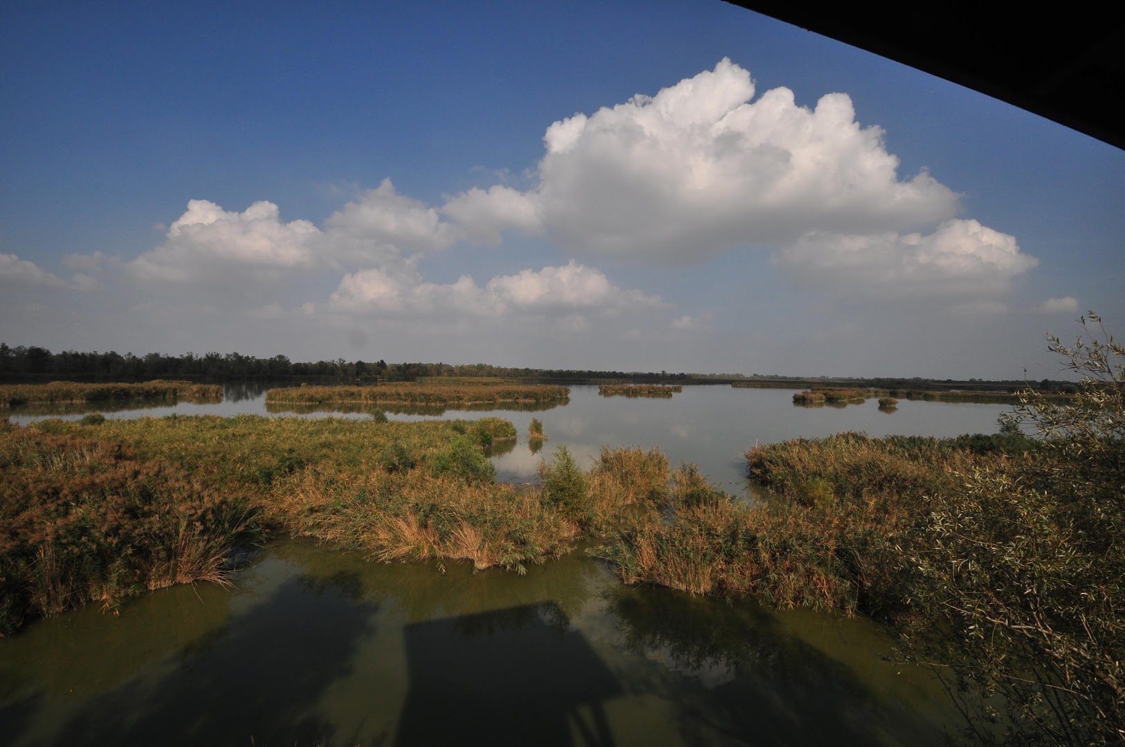 Oasi di Marmorta